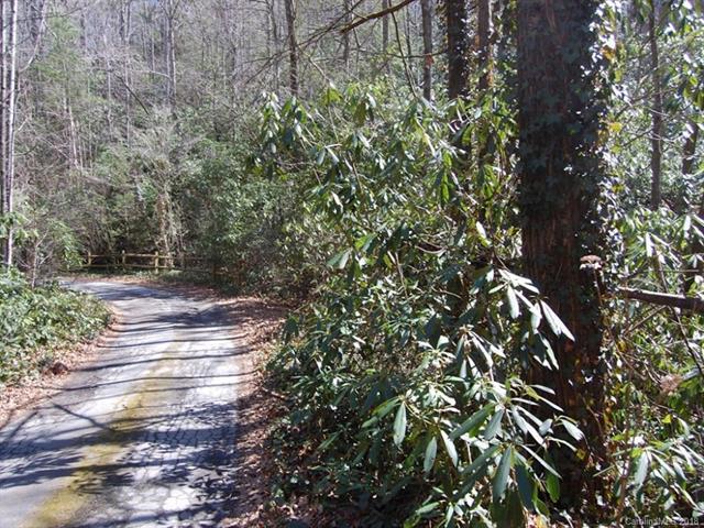 LOTS 6, 34, & 35 Timber Run Road - Photo 1