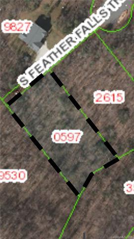 419 Feather Falls Trail - Photo 1