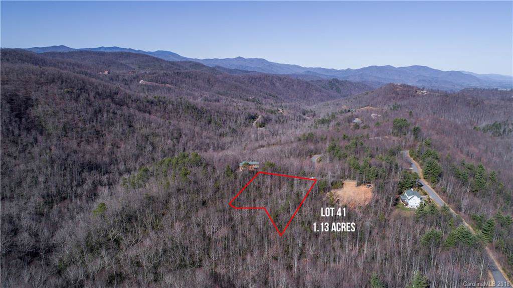 Lot 41 Helena Falls Road - Photo 1