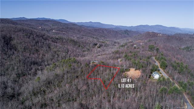 Lot 41 Helena Falls Road - Photo 1