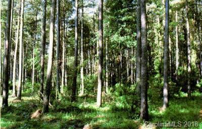0000 Ussery Road - Photo 1