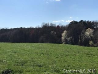 1918B Flint Hill Church Road - Photo 1