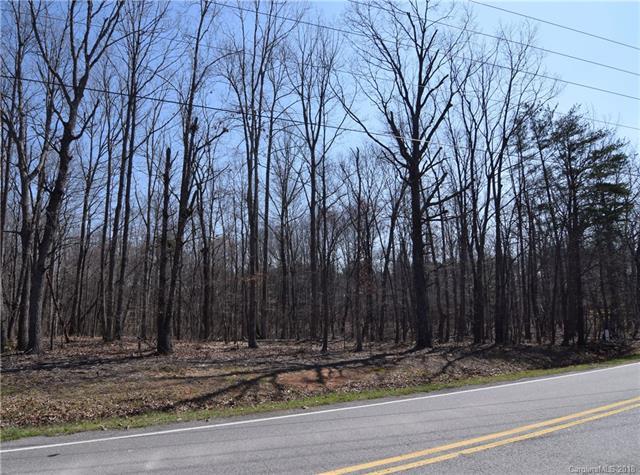 Lot #3 Lee Lawing Road - Photo 1