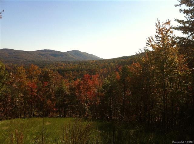 0 Owls Ridge Drive - Photo 1