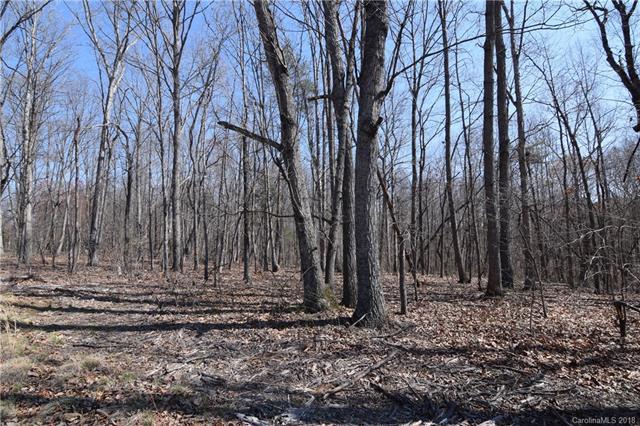 Lot #5 Lee Lawing Road - Photo 1