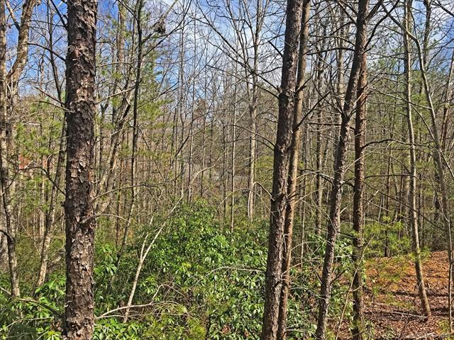 LOT 61 Lakewood Drive - Photo 1