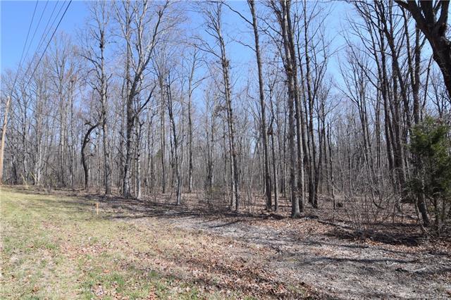 Lot #9 Lee Lawing Road - Photo 1