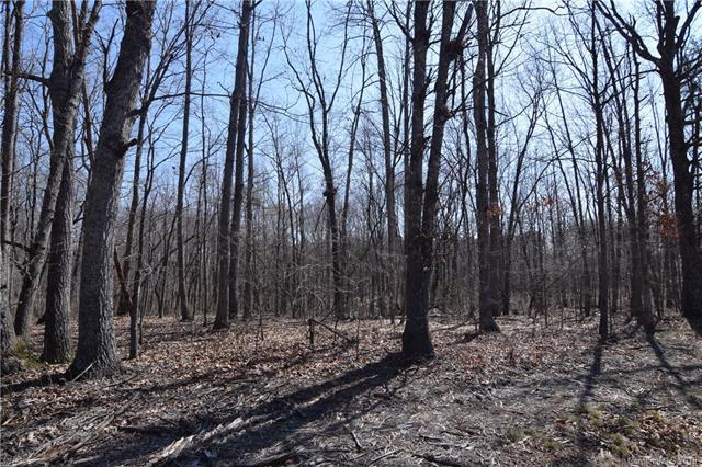 Lot #10 Lee Lawing Road - Photo 1