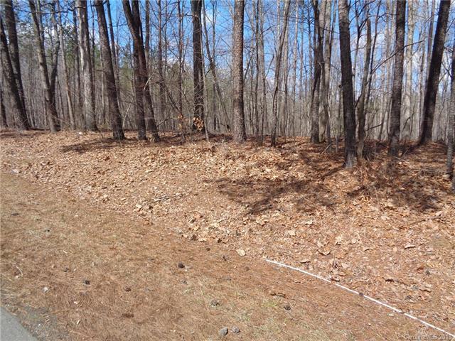 0 Biscoe Road - Photo 1