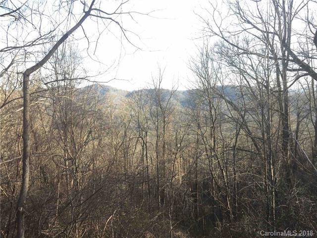 Lot 20 Elk Mountain Scenic Highway - Photo 1