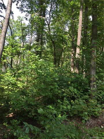 Lot 25 Bluebird Terrace - Photo 1