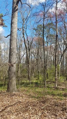 1159 Hopewell Church Road - Photo 1