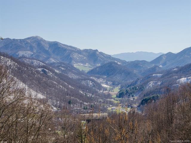 5260 Max Patch Road - Photo 1