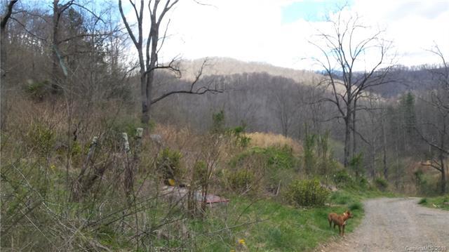 226 Dan Branch Road - Photo 1