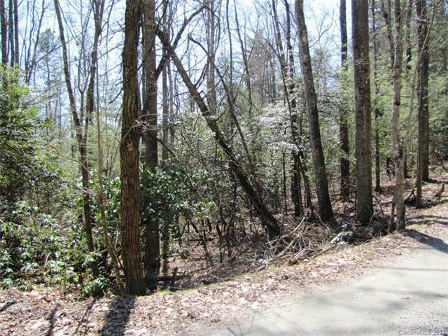 00 Dogwood Drive - Photo 1