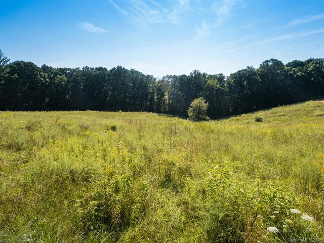53 & 57 Charlie Riddle Lane - Photo 1