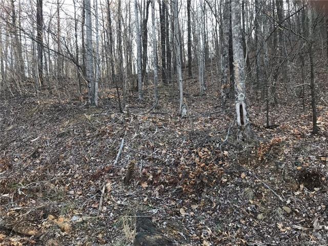 0 Doubleview Drive - Photo 1