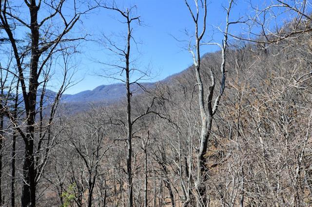 0 Hemlock Trail - Photo 1