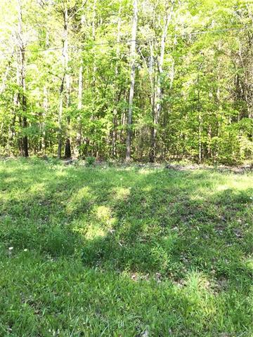 0 Blue Heron Road - Photo 1