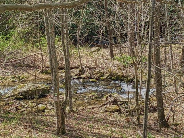 TBD Nc 209 Highway - Photo 1