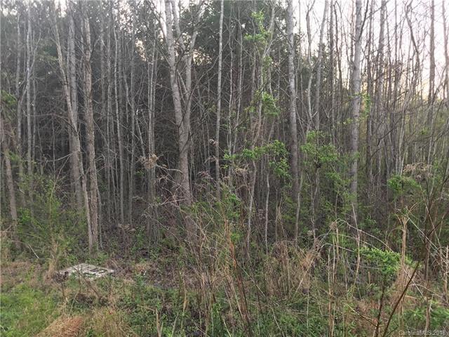 No Number Indian Trail Fairview Road - Photo 1