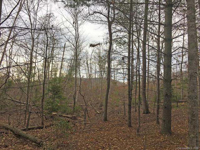 LOT 284 Trillium Trail - Photo 1