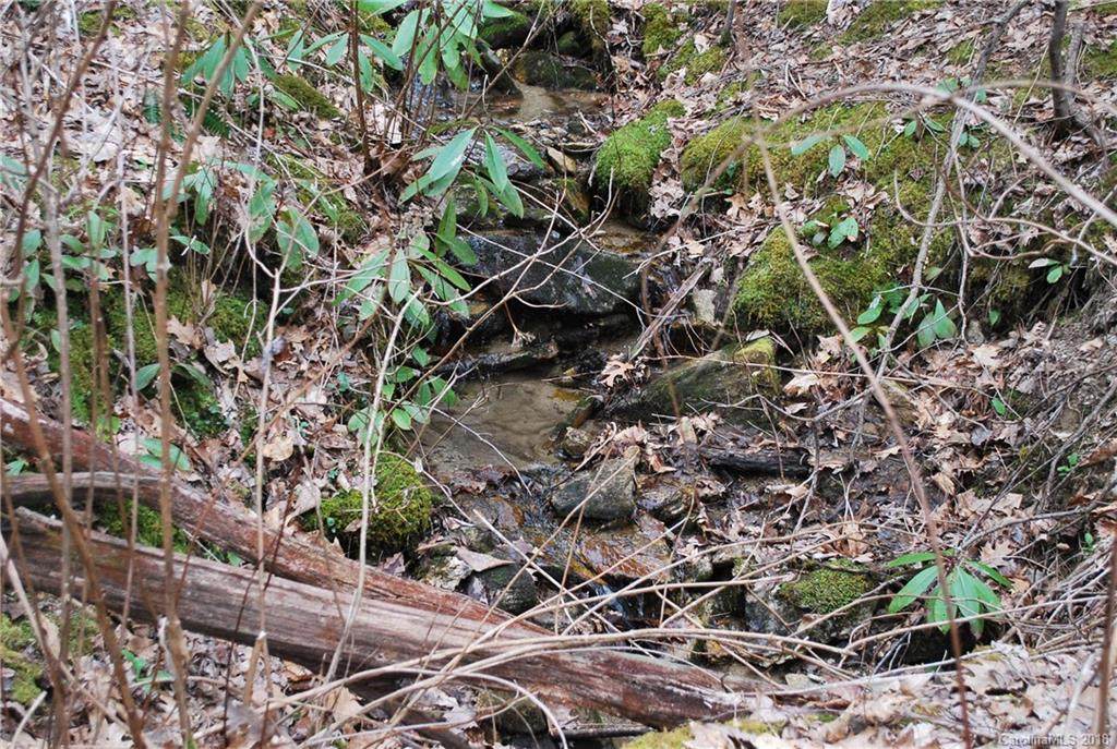 Lot 25 Bear Rock Loop Road - Photo 1