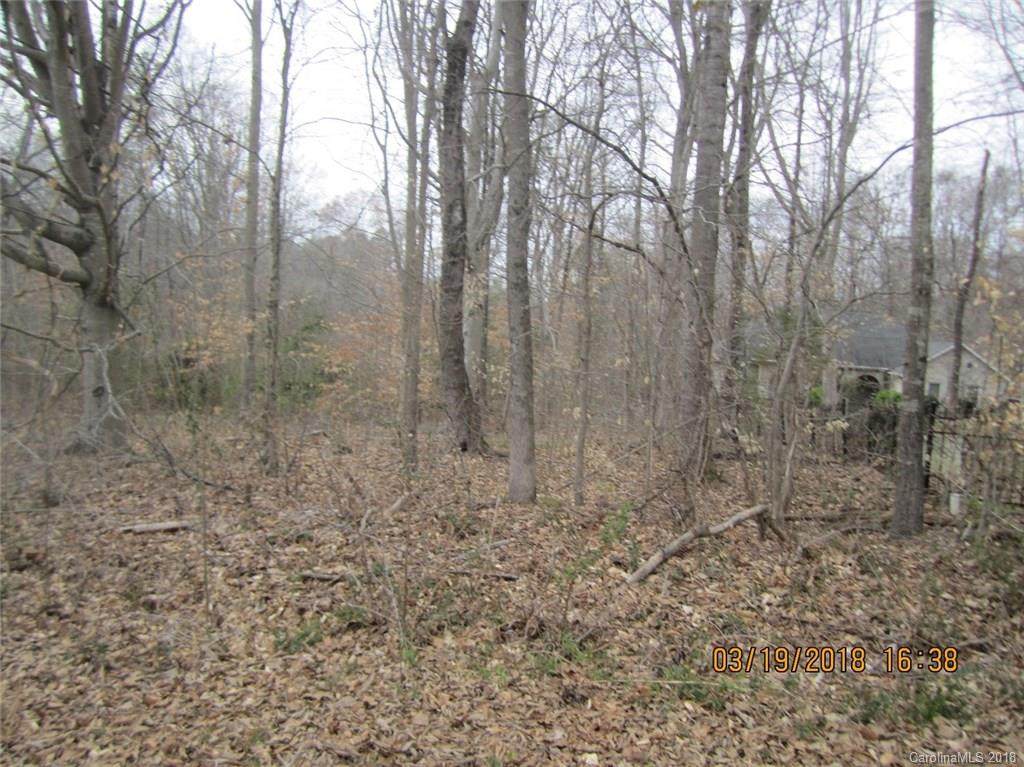 0 Blue Heron Road - Photo 1