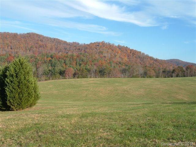 0 Stepp Mill Road - Photo 1