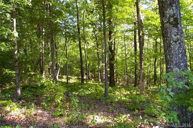 0 Loganberry Lane - Photo 1
