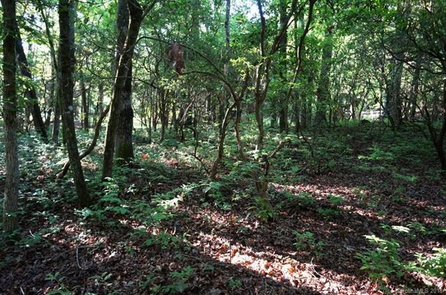 Lot 10 Ugiladi Court - Photo 1