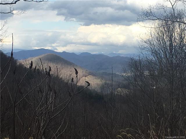 0000 Red Wolf Run - Photo 1