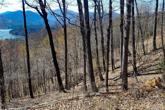 0 Hawks Nest Trail - Photo 1