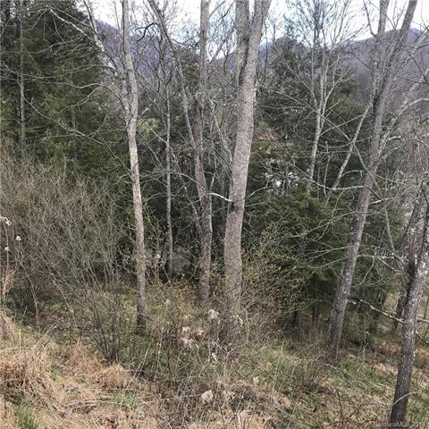 Lot 19 Haystack Hill Road - Photo 1