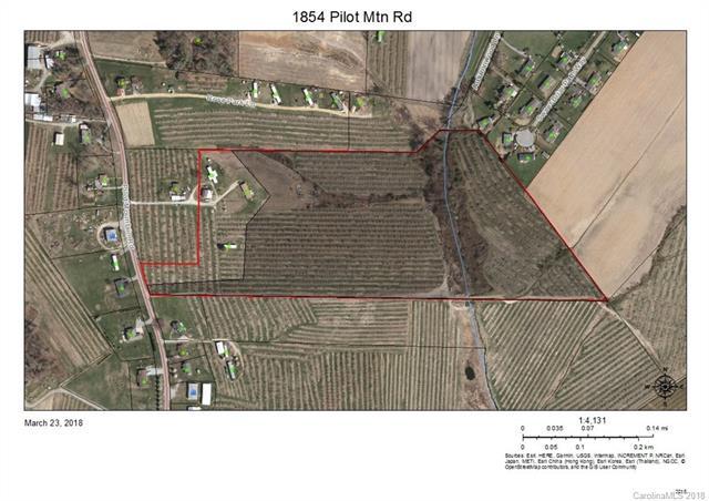 1854 Pilot Mountain Road - Photo 1