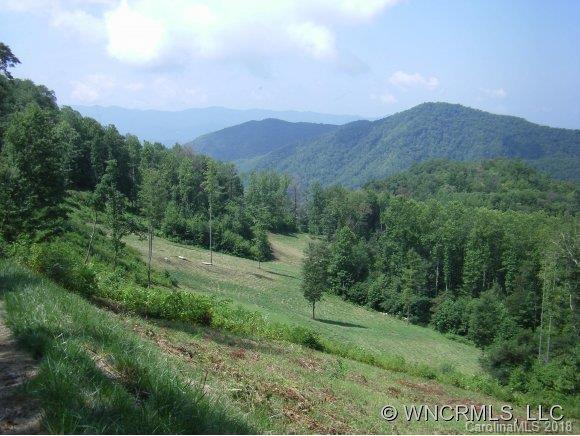 Lot 4 Dicks Creek Road - Photo 1