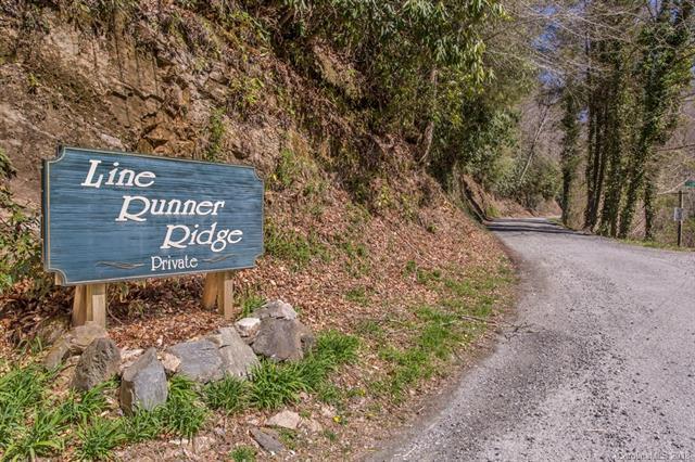 TBD Line Runner Ridge Road - Photo 1