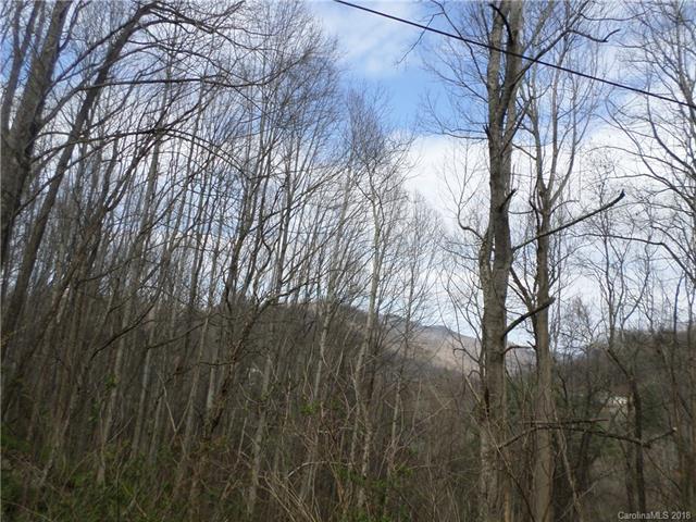 16 Spirit Mountain Trail - Photo 1