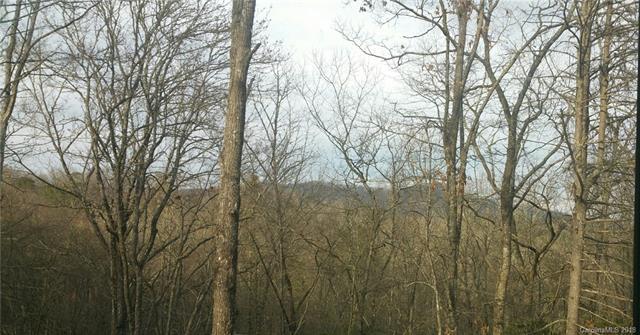 230 Shining Rock Path - Photo 1