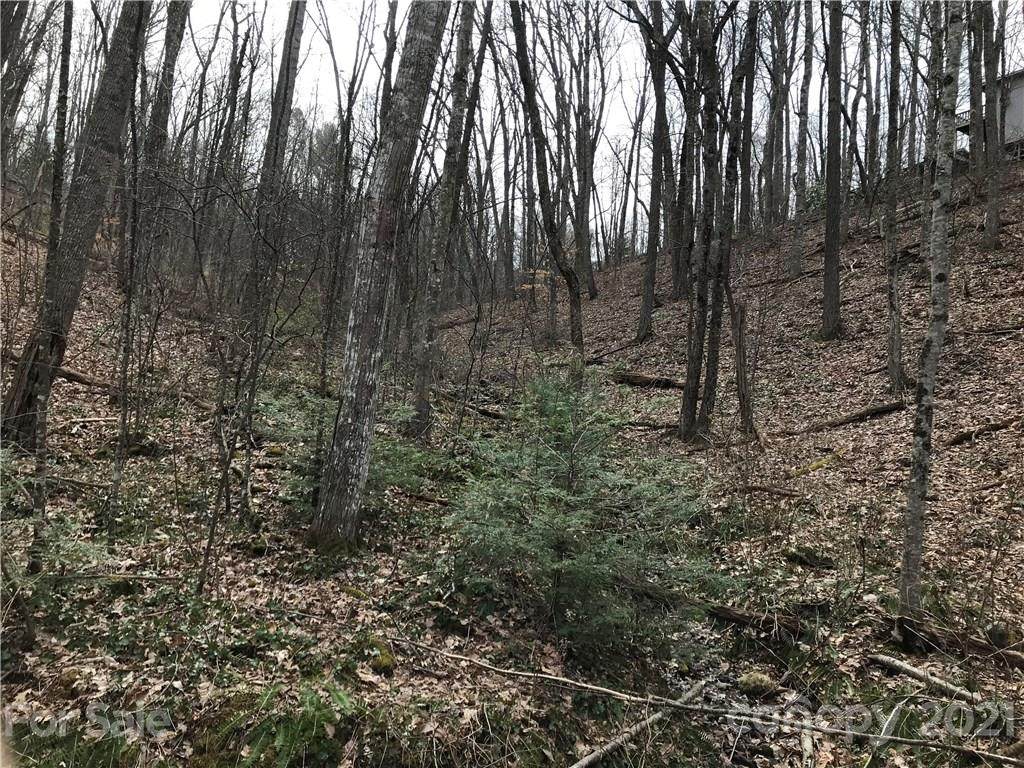 Lot #211 Beacon Rock Lane - Photo 1