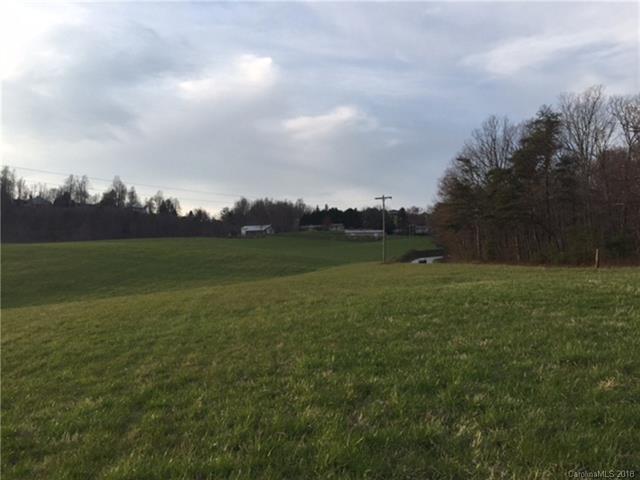 LOT 1 Old Mtn Page Road - Photo 1