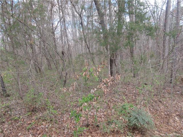 0 Scaleybark Road - Photo 1