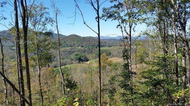 5337 Hwy 80 Highway - Photo 1