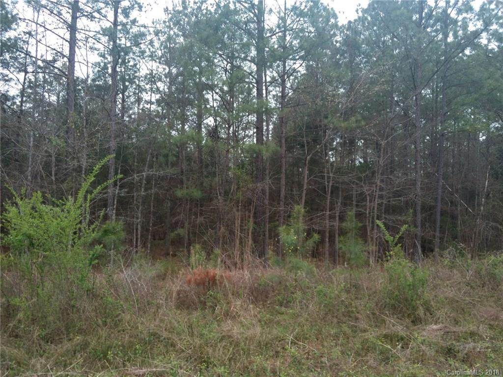 0 Pleasant Grove Drive - Photo 1