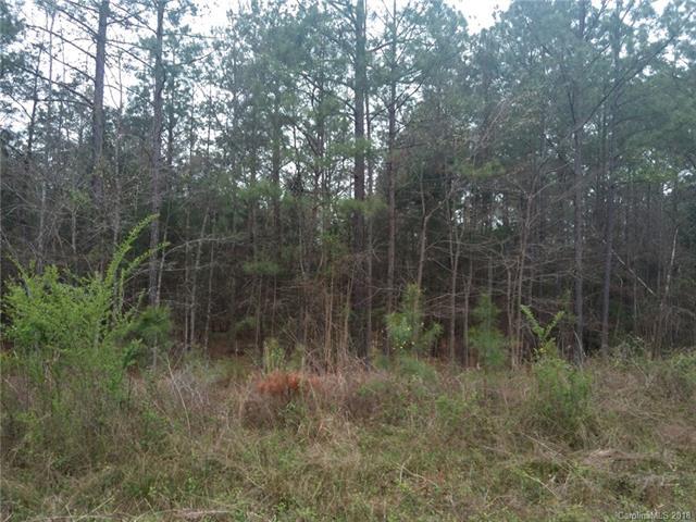 0 Pleasant Grove Drive - Photo 1