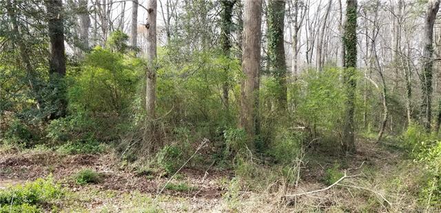 00 Mauney Road - Photo 1