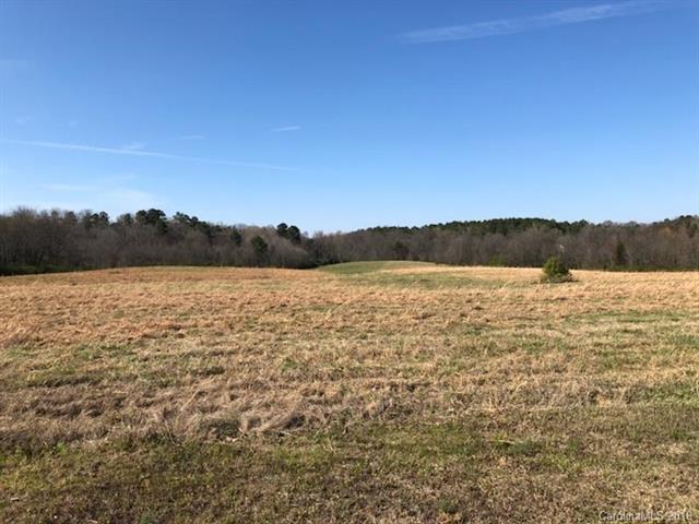 32 AC Hallman Drive - Photo 1