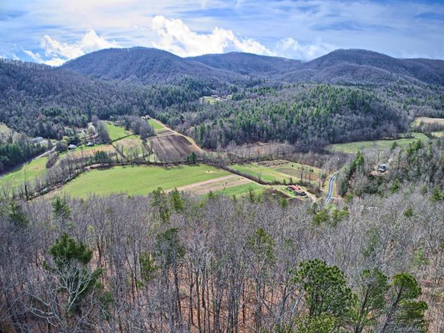 130 Brown Bear Ridge Trail - Photo 1