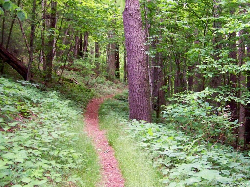 0 Cove Creek Road - Photo 1