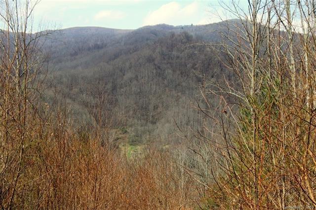 TBD Meadow Fork School Road - Photo 1